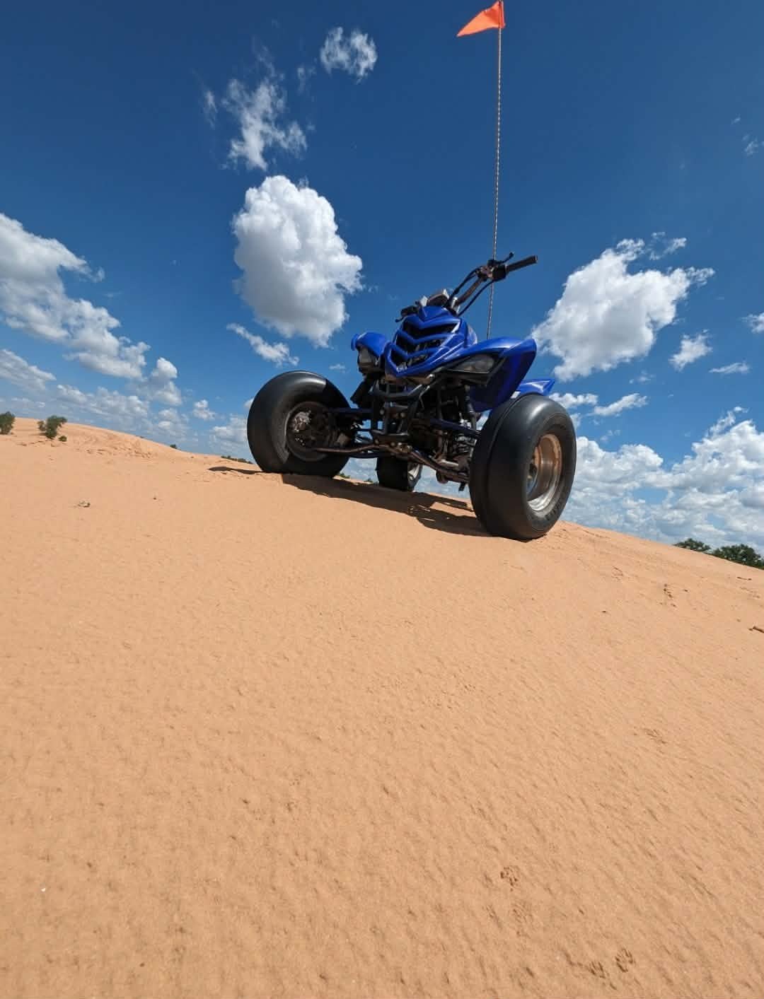 YYamaha raptor service